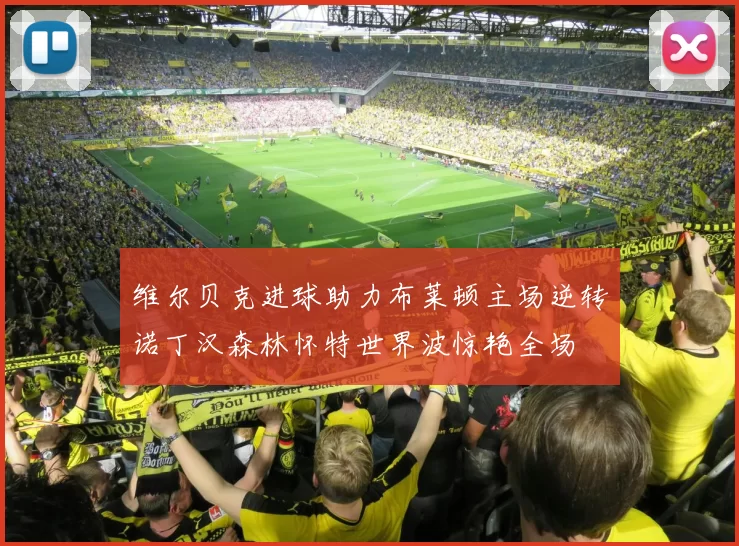 维尔贝克进球助力布莱顿主场逆转诺丁汉森林怀特世界波惊艳全场