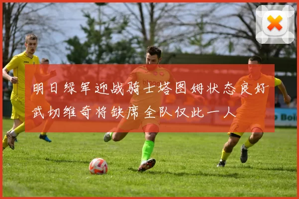 明日绿军迎战骑士塔图姆状态良好武切维奇将缺席全队仅此一人